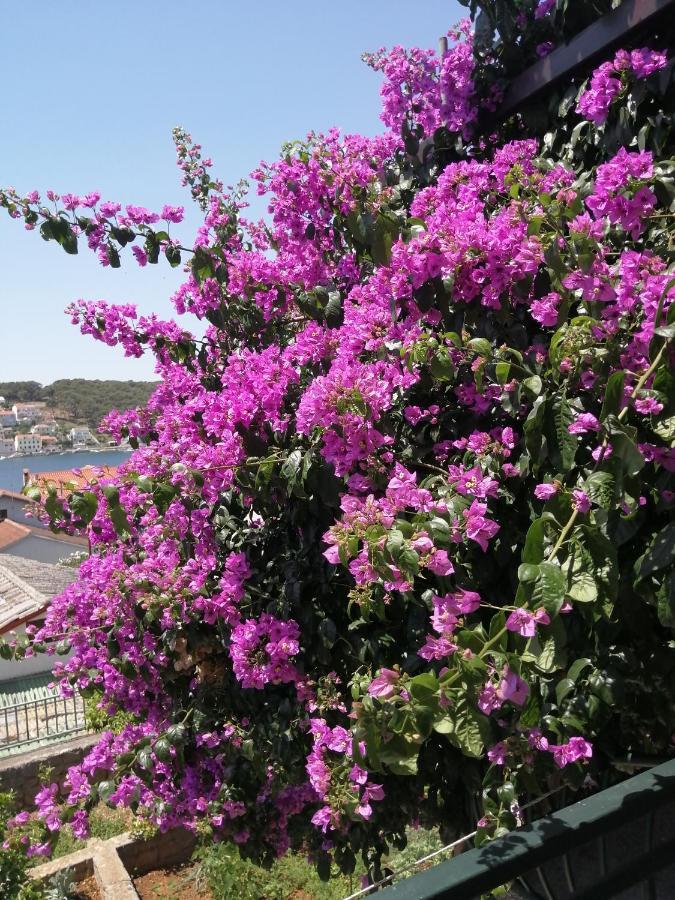 Fioretta Mali Lošinj Εξωτερικό φωτογραφία