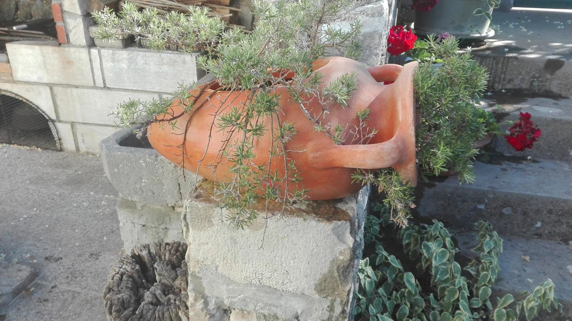 Fioretta Mali Lošinj Εξωτερικό φωτογραφία